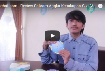 Review Cakram Angka Kecukupan Gizi (AKG)