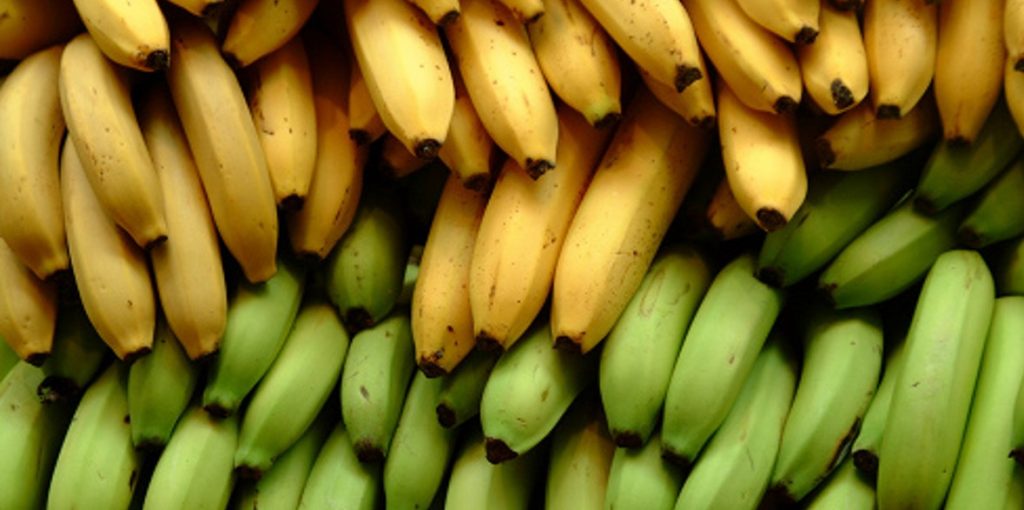 pisang