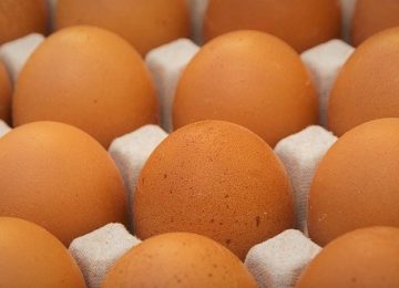 Telur: Baik atau Buruk?
