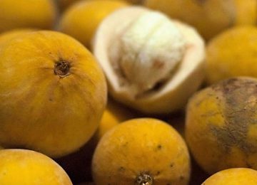 5 Buah Langka serta Kandungan Gizinya yang Pasti Belum Kamu Tau