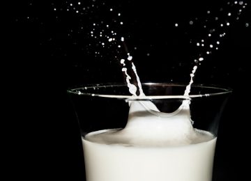 Pilih yang Mana, Susu Bubuk atau Susu Cair?