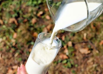 Susu Hewan Ini Ngga Kalah Spesial dari Susu Sapi Loh!
