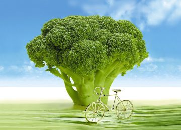 Vegan juga Harus Punya Tulang yang Kuat! Ini Tipsnya!
