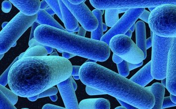 Infeksi Listeria dan Penyebarannya yang Mendunia