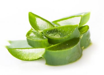 Cegah Photoaging dengan Gel Aloevera