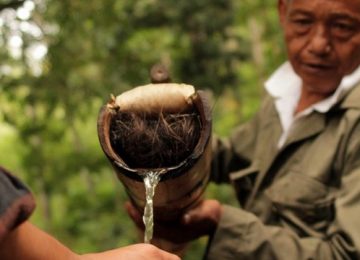 Lahang, Minuman Isotonik Khas Indonesia