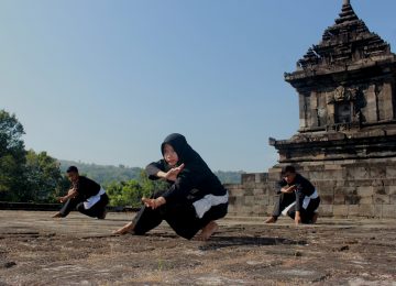Pencak Silat, Beladiri dan Budaya