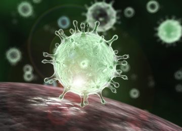 Pahami Coronavirus yang Lagi jadi Perbincangan Hangat