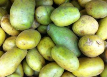 4 Racun Alami pada Sayur yang perlu Kamu Tahu!