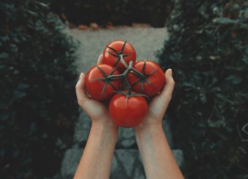 Penuhi Kebutuhan Sel Darah Merah dengan 4 Makanan ini!