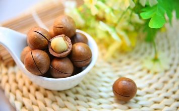Macademia, Kacang Termahal yang Ada di Indonesia!