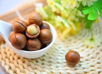 Macademia, Kacang Termahal yang Ada di Indonesia!