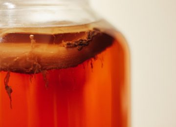 Teh Fermentasi Asam, Inilah Manfaat Konsumsi Kombucha!