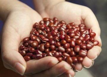 Beragam Manfaat Kacang Merah untuk Kesehatan