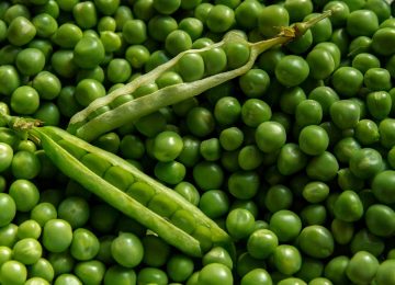 5 Manfaat Kacang Polong untuk Penderita Diabetes