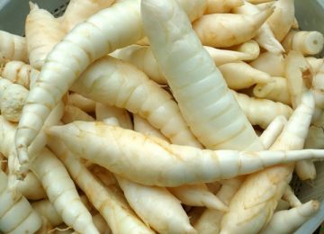 Garut, Umbi Lokal Kaya Manfaat