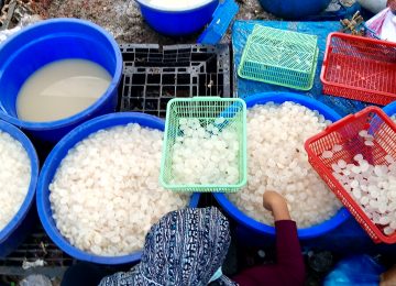 4 Manfaat Kesehatan Si Kenyal Kolang-Kaling