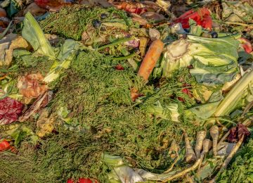 Kurangi Food Waste dan Sukseskan SDG 12.3