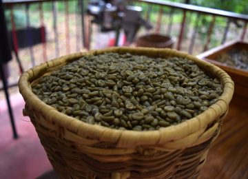 Manfaat Konsumsi Green Coffee, Bisa untuk Diet?
