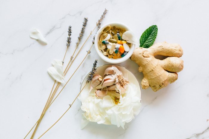 penggunaan obat tradisional