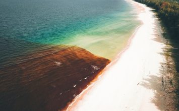 Waspadai Algal Bloom dan Risiko Cyanotoxin pada Seafood!
