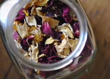 Edible Flower, Si Cantik Kaya Gizi dalam Dunia Kuliner