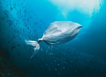 Pencemaran Laut dan Ancamannya bagi Manusia