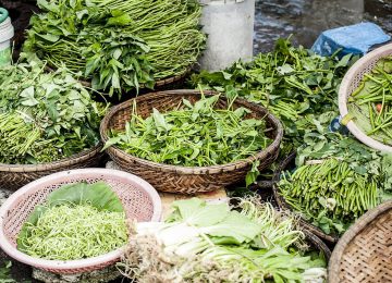 Mengenal Efek Sedatif Kangkung