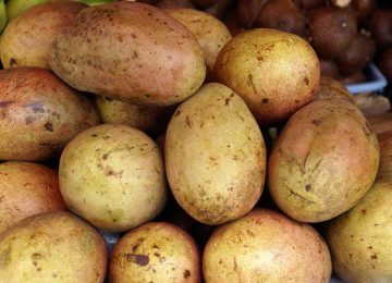 Buah Lokal Ini Jadi Nama Daerah di Jakarta, loh!