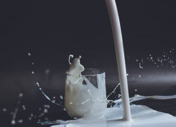 Campuran Melamin pada Susu, Apakah Berbahaya?