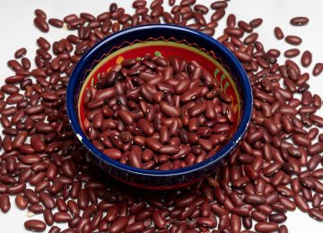 PHA, Senyawa Toksin pada Kacang Merah