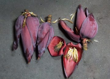 Jantung Pisang, Si Alternatif “Daging” Vegan