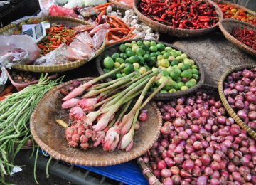 Kecombrang, Edible Flower Aromatik Kaya Flavonoid