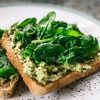 protein konsentrat daun