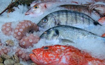 Konsentrat Protein Ikan, Kaya Bioaktif dan Antioksidan