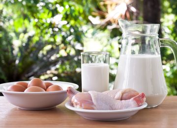Ayo Cegah Stunting dengan Protein Hewani!