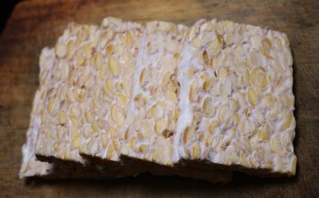 Tempe Bongkrek, Tempe Beracun?