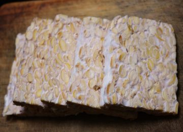 Tempe Bongkrek, Tempe Beracun?