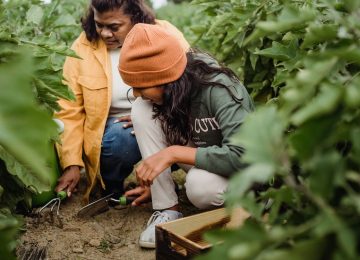 Eco Therapy, Cara Ampuh Jaga Kesehatan Fisik dan Mental