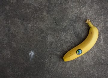 Konsep Fair Trade: Hak dan Kewajiban di Dalamnya