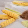 inovasi teh rambut jagung