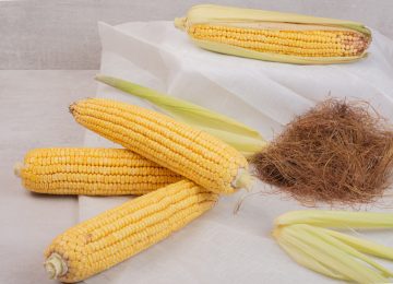 Corn Silk Tea, Inovasi Teh dari Rambut Jagung