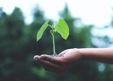 World Environment Day: Jaga Lingkungan dengan Berkebun