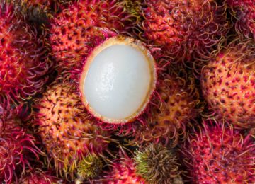 Serba Serbi Rambutan Si Buah Tropis Asia