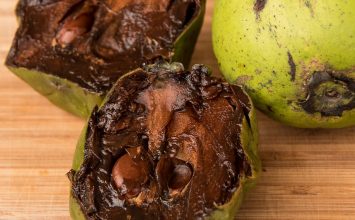 Manfaat Buah Black Sapote untuk Kesehatan