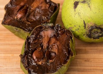 Manfaat Buah Black Sapote untuk Kesehatan