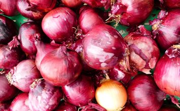 Suburkan Tanaman dengan Pupuk Kulit Bawang Merah
