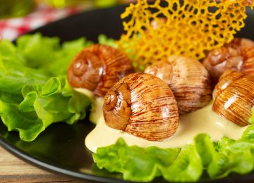 Pro Kontra Keong Sawah sebagai Alternatif Sumber Protein