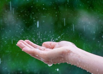 Air Hujan Tercemar Mikroplastik, Bahayakah bagi Kesehatan?